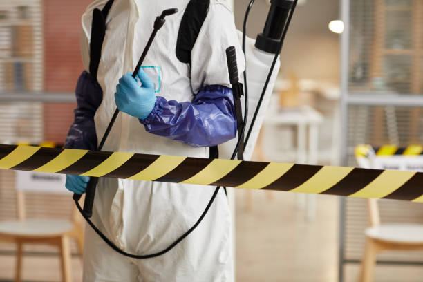 Professional Hoarding Cleanup technician working in Leander, TX